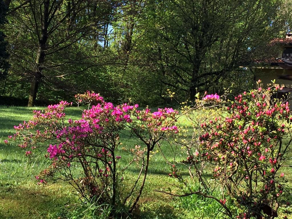Bed&Garden Bed & Breakfast Cesate Bagian luar foto