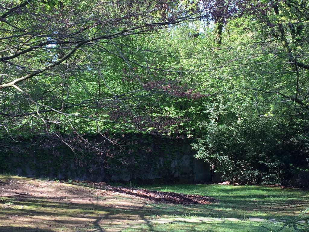 Bed&Garden Bed & Breakfast Cesate Bagian luar foto