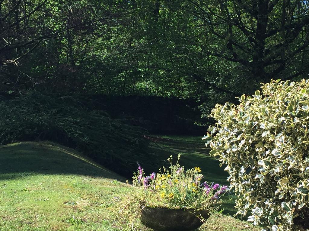 Bed&Garden Bed & Breakfast Cesate Bagian luar foto