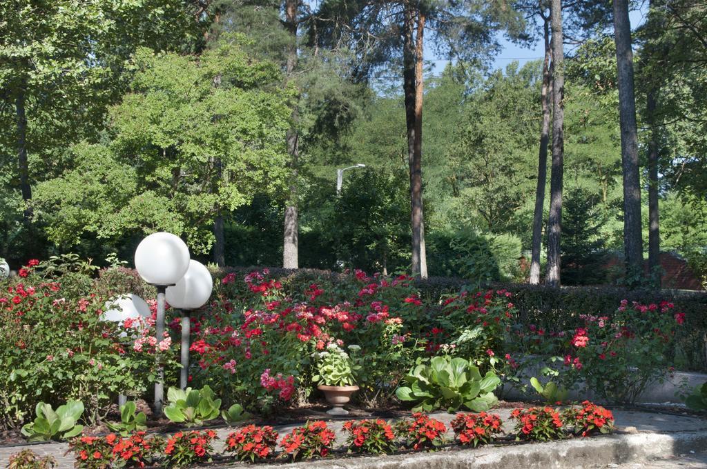 Bed&Garden Bed & Breakfast Cesate Bagian luar foto