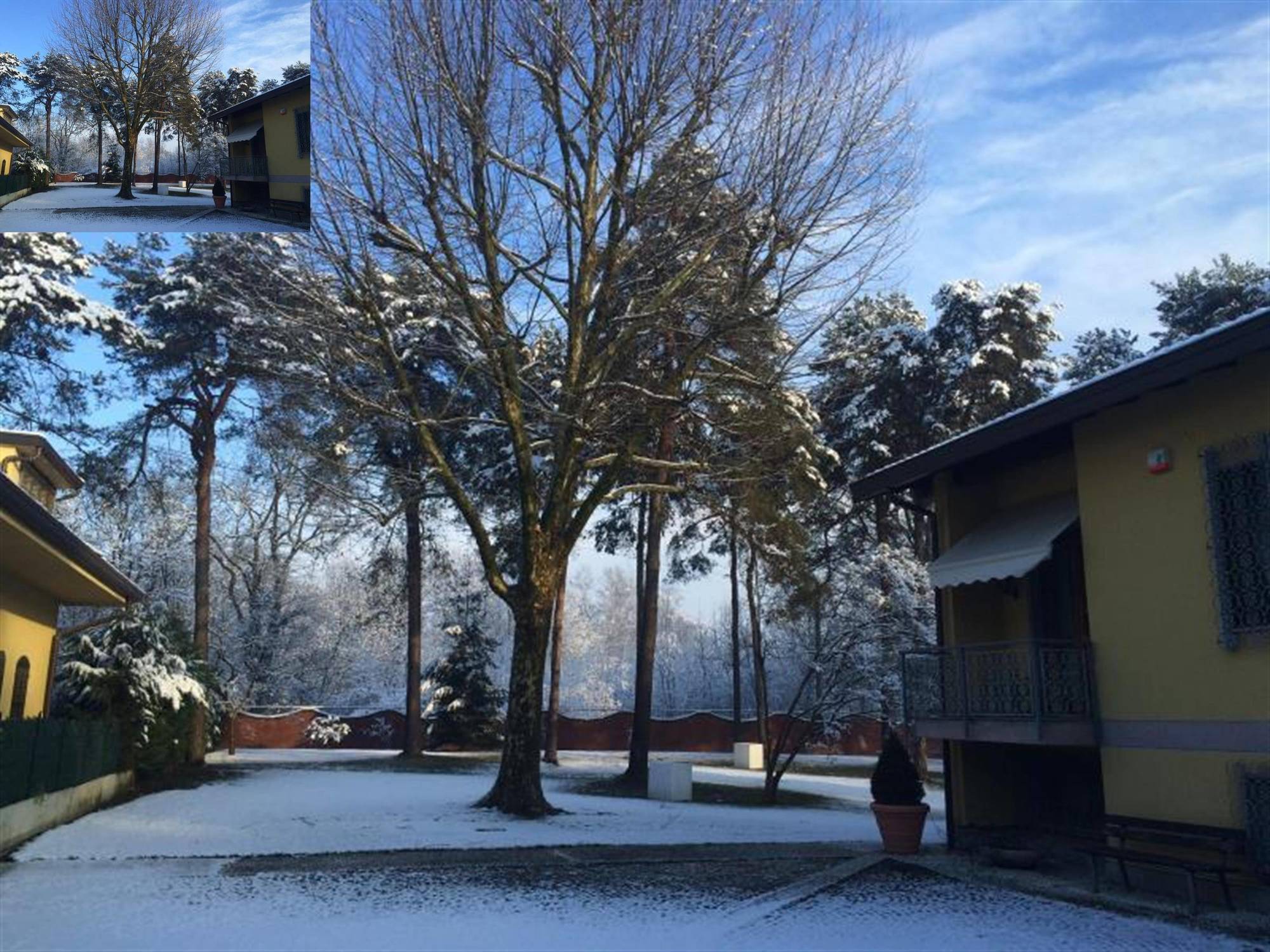 Bed&Garden Bed & Breakfast Cesate Bagian luar foto